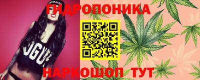 стафф Будённовск