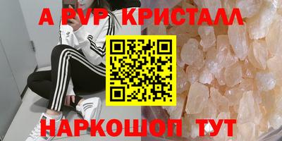 стафф Будённовск