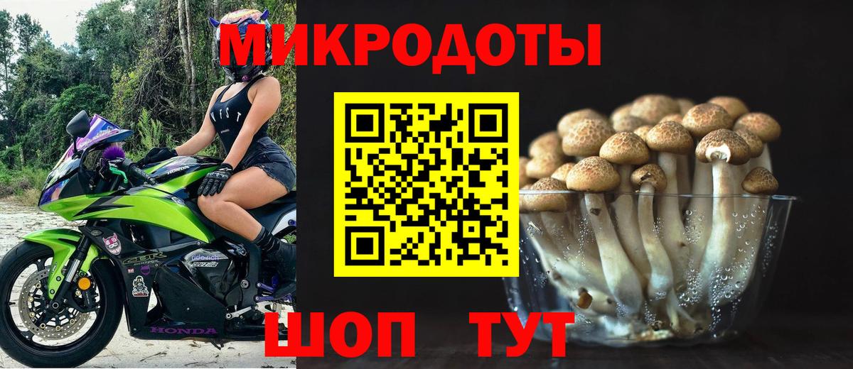 Лянтор  Галлюциногенные грибы Psilocybine cubensis  Вход с VPN 